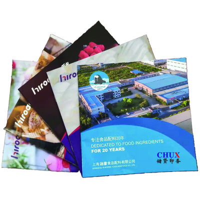 企業(yè)畫冊(cè)印刷宣傳冊(cè)企業(yè)折頁樣本印刷定制